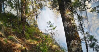 Pronta denuncia de incendios podría salvar la vida de cientos de animales