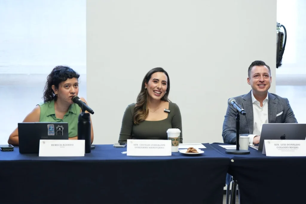 Planteó llevar la discusión legislativa hacia temas como inteligencia artificial, protección de datos, ciberacoso, violencia de género digital y responsabilidad de las plataformas